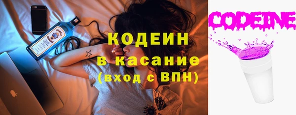 сатива Лабытнанги