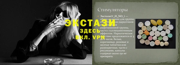 сатива Лабытнанги