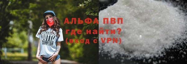 сатива Лабытнанги