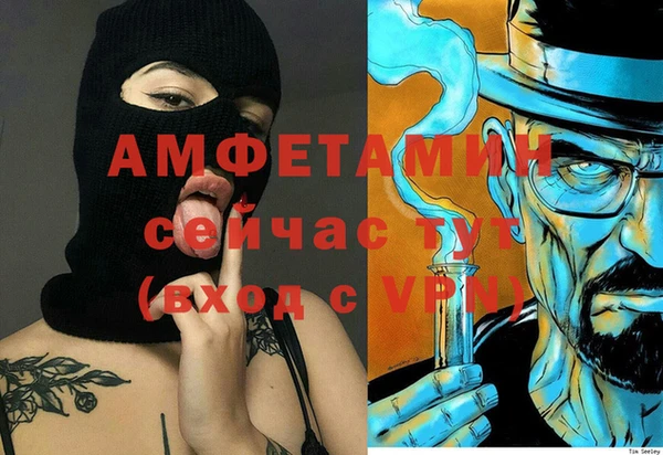 сатива Лабытнанги