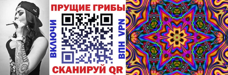 купить  цена  Пушкино  Псилоцибиновые грибы Psilocybine cubensis 