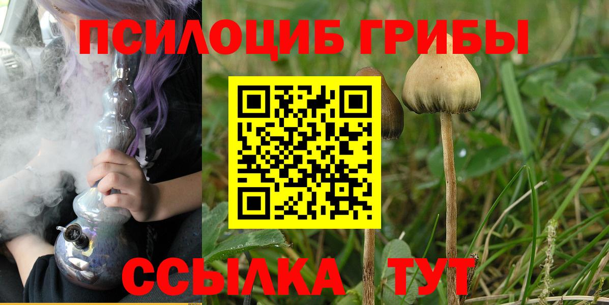Галлюциногенные грибы мухоморы  Вход с VPN  Пушкино  Галлюциногенные грибы Psilocybine cubensis 