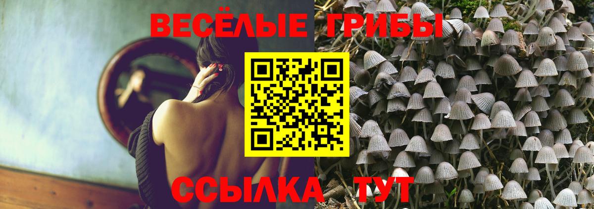 Псилоцибиновые грибы Psilocybe Пушкино